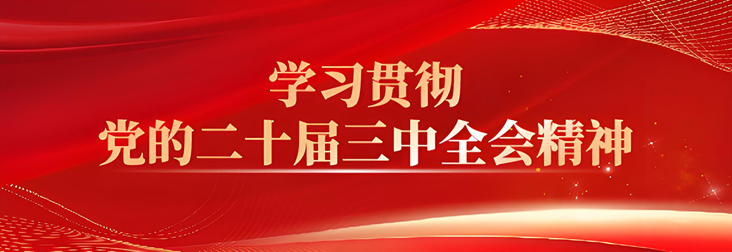 學(xué)習(xí)貫徹黨的二十屆三中全會(huì)精神